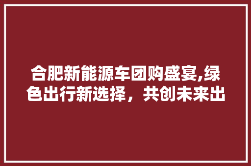 合肥新能源车团购盛宴,绿色出行新选择，共创未来出行新时代