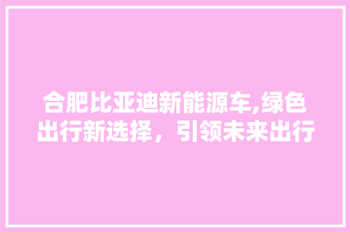 合肥比亚迪新能源车,绿色出行新选择，引领未来出行潮流