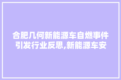 合肥几何新能源车自燃事件引发行业反思,新能源车安全如何保障