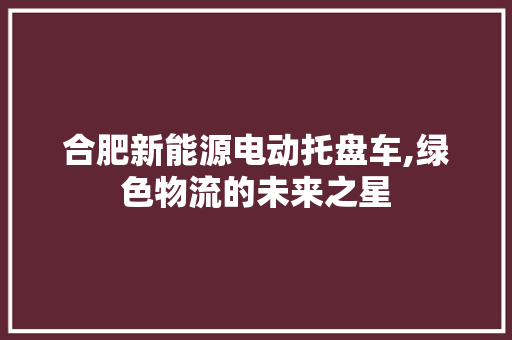 合肥新能源电动托盘车,绿色物流的未来之星