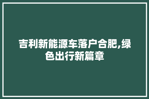 吉利新能源车落户合肥,绿色出行新篇章