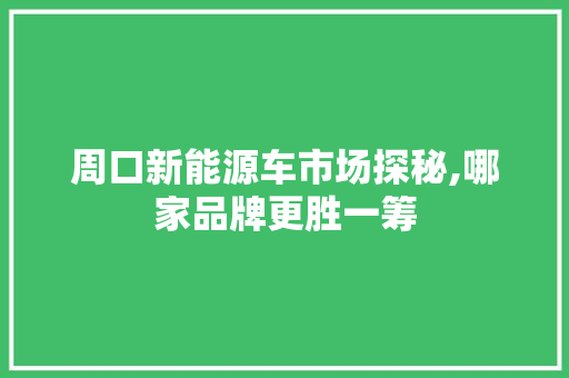 周口新能源车市场探秘,哪家品牌更胜一筹