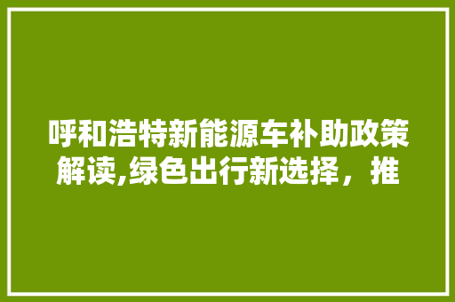 呼和浩特新能源车补助政策解读,绿色出行新选择，推动城市可持续发展 汽车知识