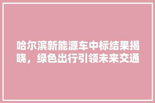 哈尔滨新能源车中标结果揭晓，绿色出行引领未来交通发展