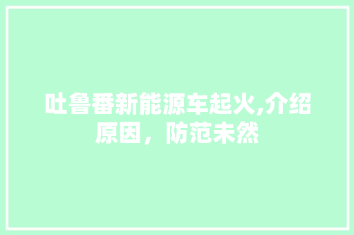 吐鲁番新能源车起火,介绍原因，防范未然