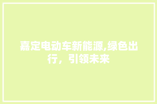嘉定电动车新能源,绿色出行，引领未来