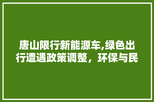 唐山限行新能源车,绿色出行遭遇政策调整，环保与民生如何平衡 汽车知识