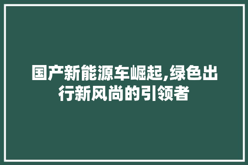 国产新能源车崛起,绿色出行新风尚的引领者