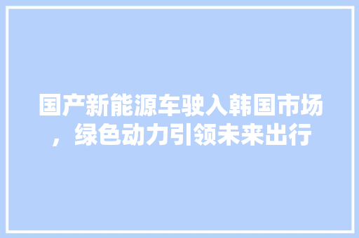 国产新能源车驶入韩国市场，绿色动力引领未来出行