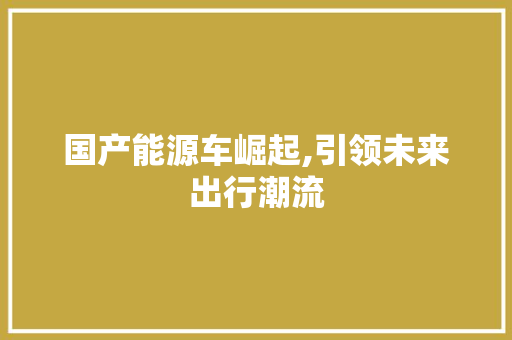 国产能源车崛起,引领未来出行潮流
