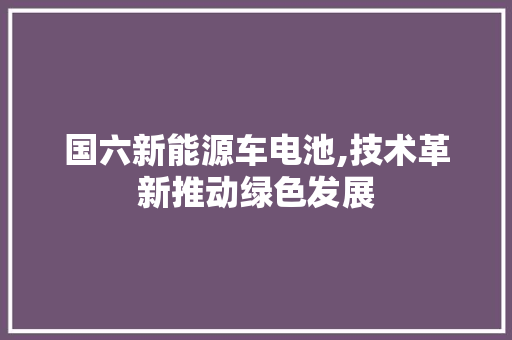 国六新能源车电池,技术革新推动绿色发展