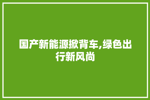 国产新能源掀背车,绿色出行新风尚