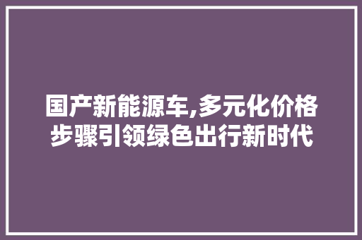 国产新能源车,多元化价格步骤引领绿色出行新时代