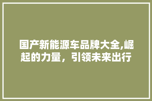 国产新能源车品牌大全,崛起的力量，引领未来出行