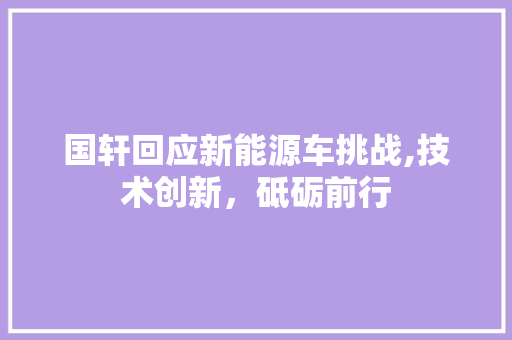国轩回应新能源车挑战,技术创新，砥砺前行