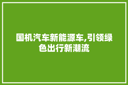 国机汽车新能源车,引领绿色出行新潮流 汽车知识
