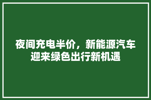 夜间充电半价，新能源汽车迎来绿色出行新机遇