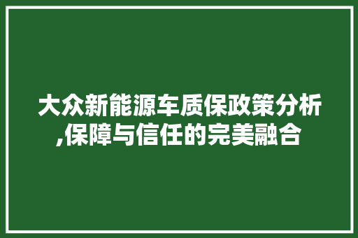 大众新能源车质保政策分析,保障与信任的完美融合
