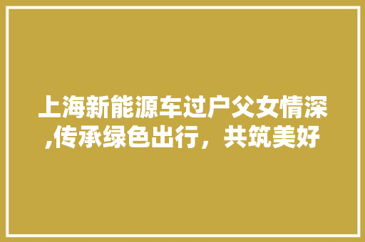 上海新能源车过户父女情深,传承绿色出行，共筑美好未来