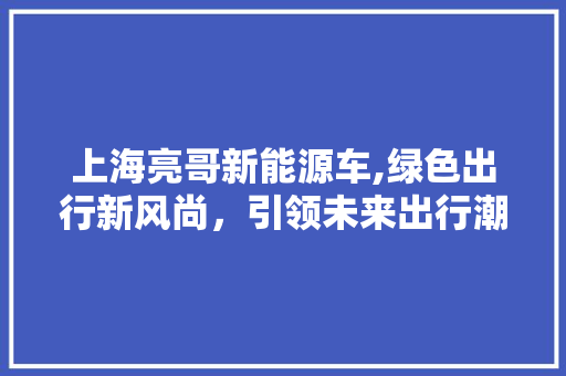 上海亮哥新能源车,绿色出行新风尚，引领未来出行潮流