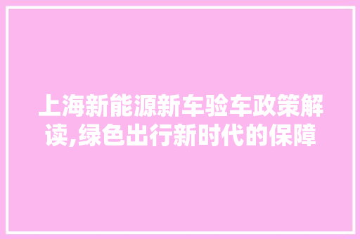 上海新能源新车验车政策解读,绿色出行新时代的保障