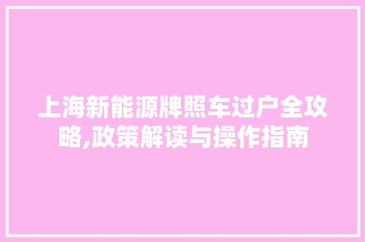 上海新能源牌照车过户全攻略,政策解读与操作指南
