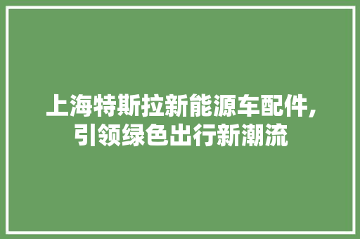 上海特斯拉新能源车配件,引领绿色出行新潮流