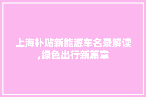 上海补贴新能源车名录解读,绿色出行新篇章