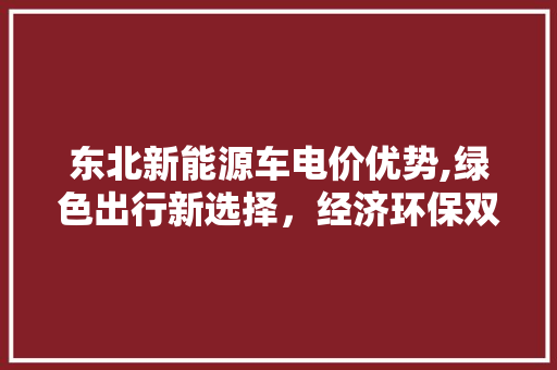 东北新能源车电价优势,绿色出行新选择，经济环保双赢之路