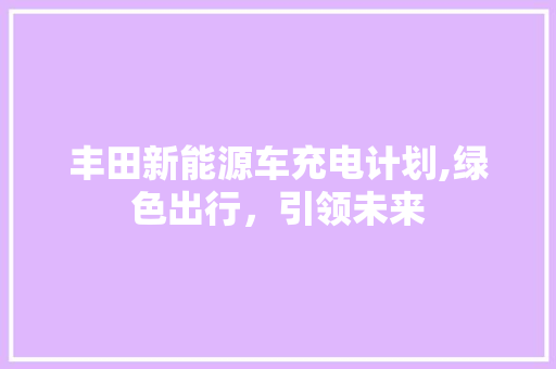 丰田新能源车充电计划,绿色出行，引领未来