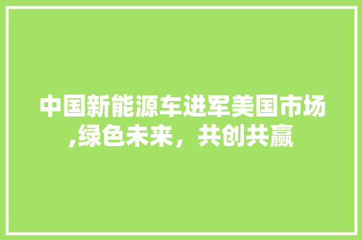 中国新能源车进军美国市场,绿色未来，共创共赢