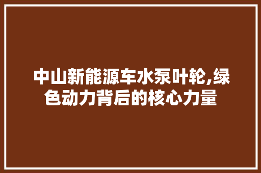 中山新能源车水泵叶轮,绿色动力背后的核心力量