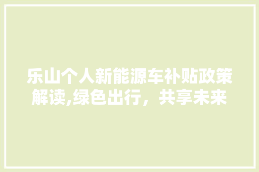 乐山个人新能源车补贴政策解读,绿色出行，共享未来