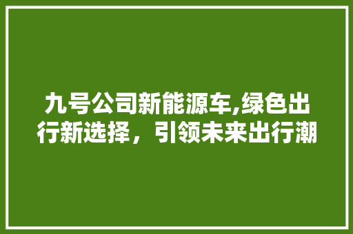 九号公司新能源车,绿色出行新选择，引领未来出行潮流