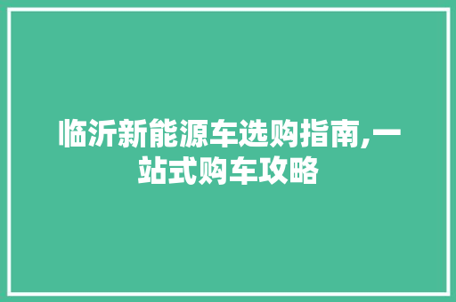 临沂新能源车选购指南,一站式购车攻略
