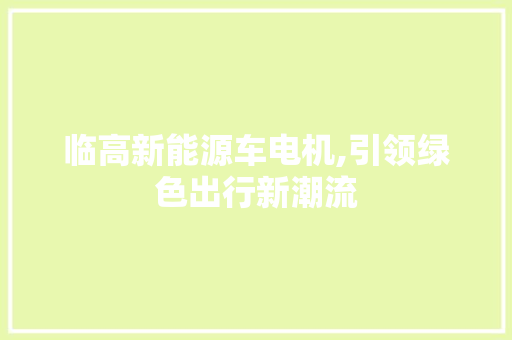 临高新能源车电机,引领绿色出行新潮流