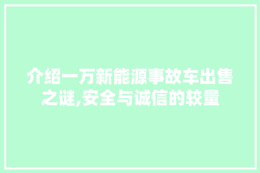介绍一万新能源事故车出售之谜,安全与诚信的较量