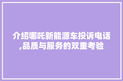 介绍哪吒新能源车投诉电话,品质与服务的双重考验