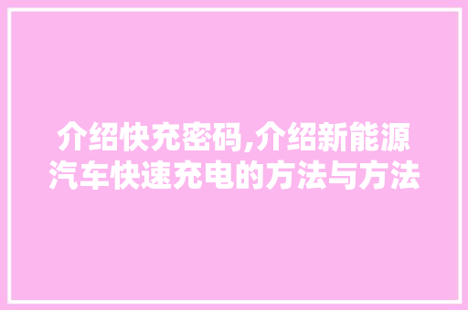 介绍快充密码,介绍新能源汽车快速充电的方法与方法
