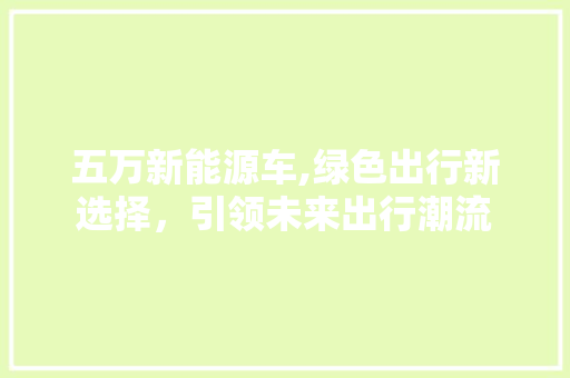 五万新能源车,绿色出行新选择，引领未来出行潮流