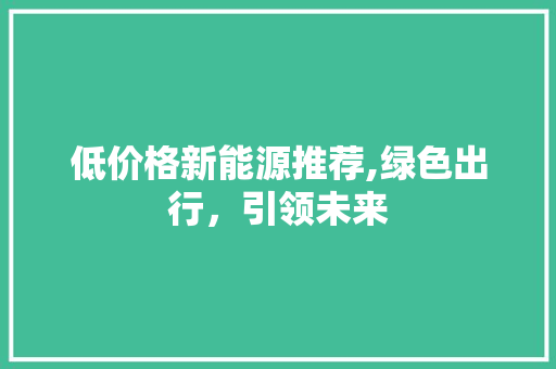 低价格新能源推荐,绿色出行，引领未来