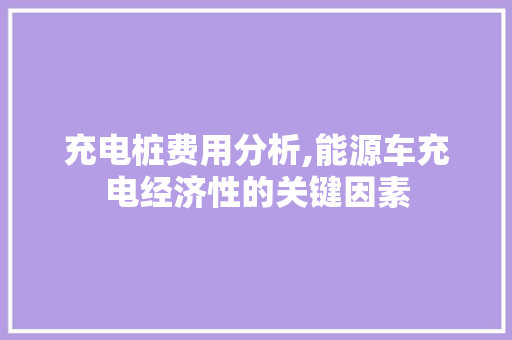 充电桩费用分析,能源车充电经济性的关键因素