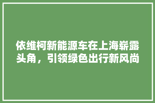 依维柯新能源车在上海崭露头角，引领绿色出行新风尚