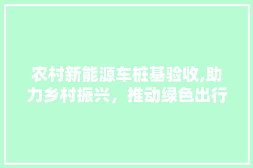 农村新能源车桩基验收,助力乡村振兴，推动绿色出行