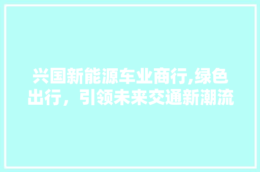 兴国新能源车业商行,绿色出行，引领未来交通新潮流