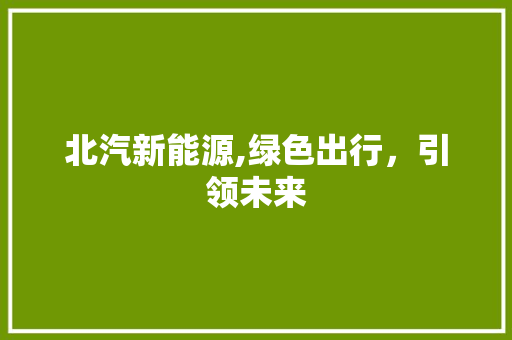 北汽新能源,绿色出行，引领未来