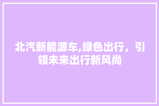 北汽新能源车,绿色出行，引领未来出行新风尚
