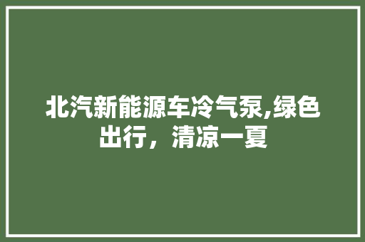 北汽新能源车冷气泵,绿色出行，清凉一夏