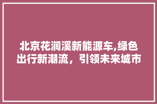 北京花涧溪新能源车,绿色出行新潮流，引领未来城市交通革命