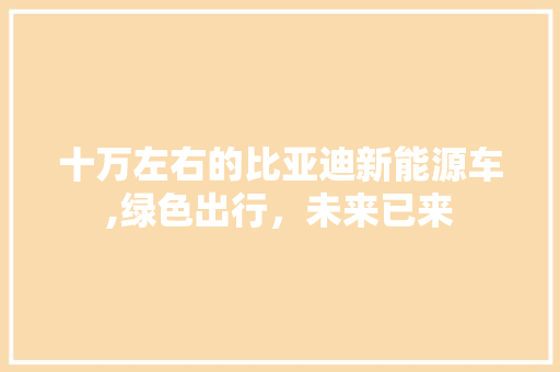 十万左右的比亚迪新能源车,绿色出行，未来已来